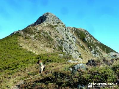 Ancares lucenses; viaje Puente noviembre; rutas y senderismo madrid grupos de trekking